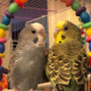 Meet your Posher, Kiki